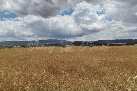 Helårsgrund i Yecla, Murcia, Yecla - € 32.900 | Ref: SF0321 - foto 8